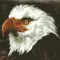The hawk is howling