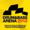 Drum&bass arena 2012