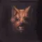 The seer
